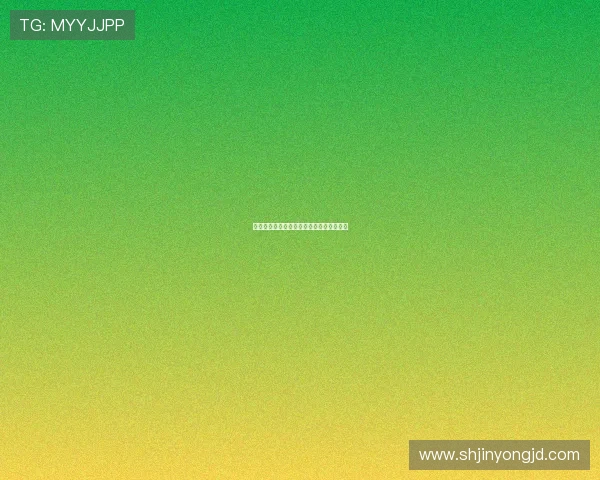 爱归来：那些被遗忘的温暖，重新点亮心田